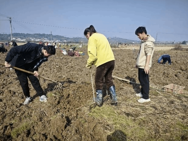 全球十大網上博彩公司